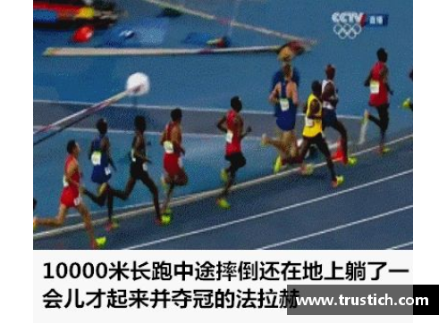 体育明星的眼光：解读未来体育界的关键趋势